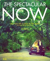 The Spectacular Now /  